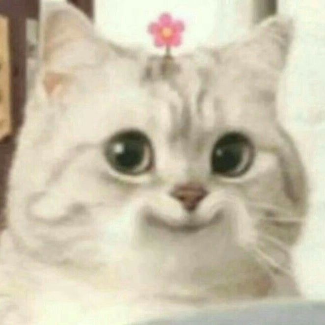 ご予約ありがとうございます🎶