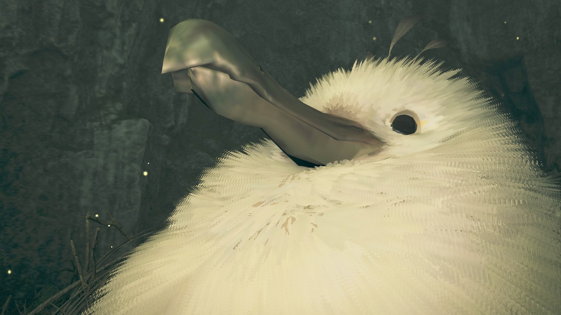 本日も出勤です‎🤍