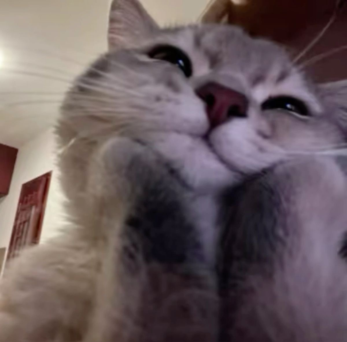 お疲れ様です🌙