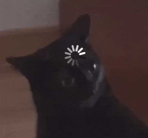 ぽしゃけ大好きです