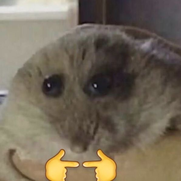 今日もいてるんだなぁ