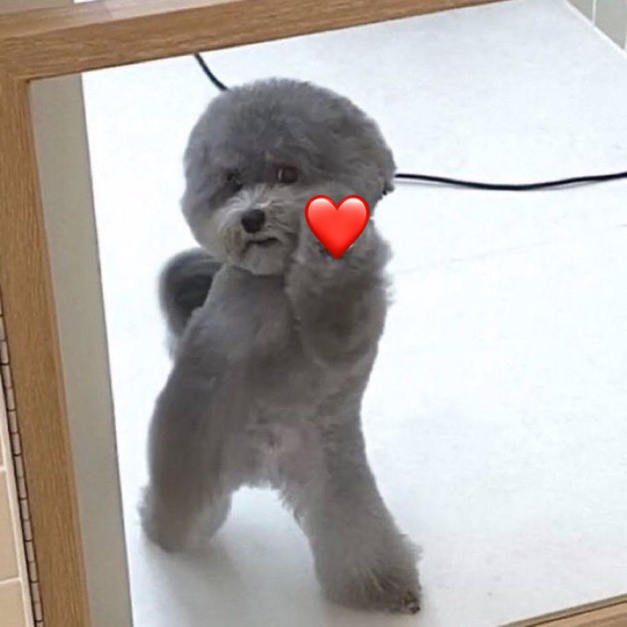 今日は早め！🐶❤️